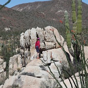 IMG 0019 (2)
